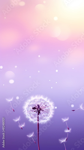 Beautiful purple dandelion