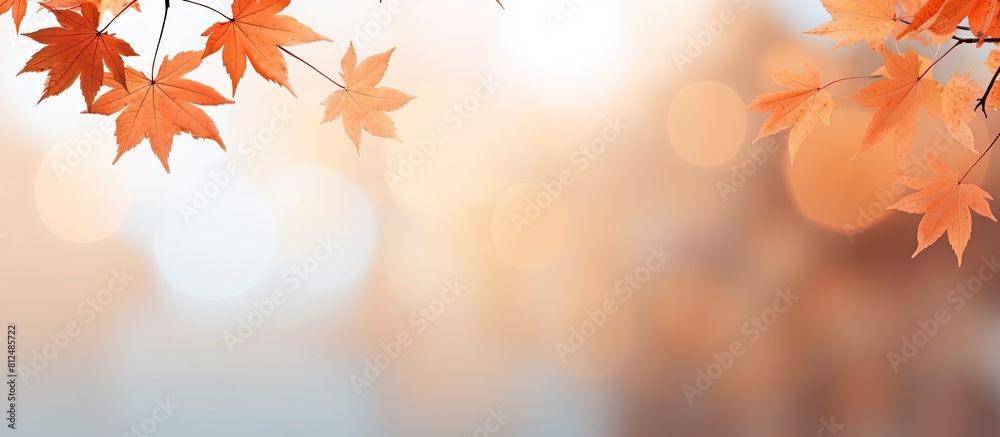 A blurred background showcases a serene autumn scene with orange maple leaves providing a perfect copy space image A blurred background showcases a serene autumn scene with orange maple leaves providing a perfect copy space image