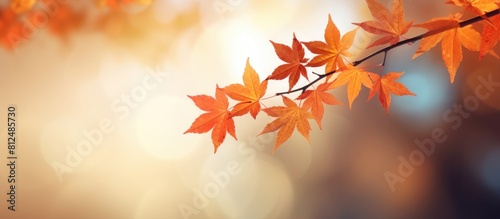 A blurred background showcases a serene autumn scene with orange maple leaves providing a perfect copy space image