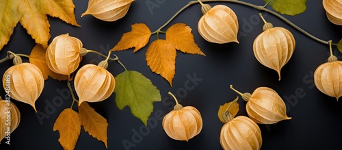 The cape gooseberries complete with their calyx are arranged in a flat lay style with copy space for adding text photo