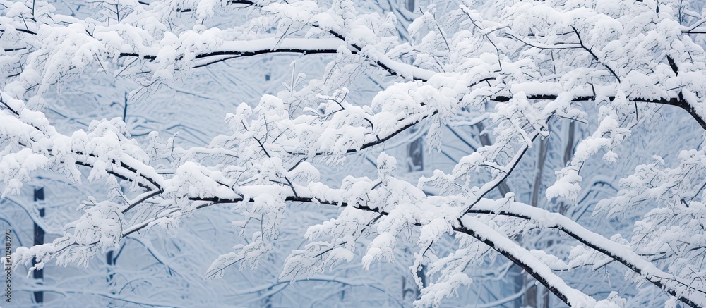 Obraz premium Snow covered tree branches with a close up view and ample copy space image