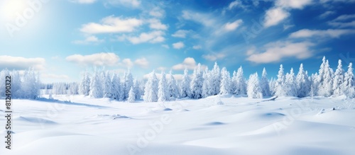 Detailed image of the winter scenery with ample copy space