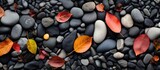 The top down view reveals a picturesque landscape of black pebbles and autumn leaves offering a visually appealing copy space image