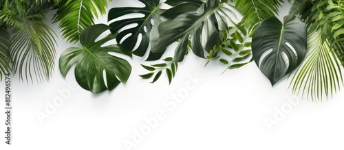 A copy space image featuring realistic tropical leaves with a natural shadow overlay on a white textured background perfect for product presentation backdrop and mockup