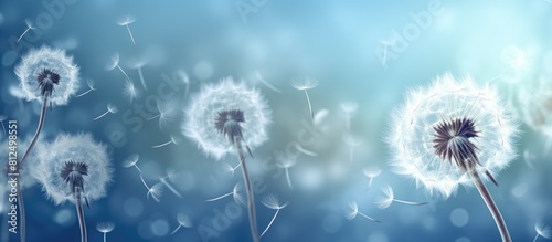 Abstract blue background with copy space image showcasing dandelion seeds resembling parachutes