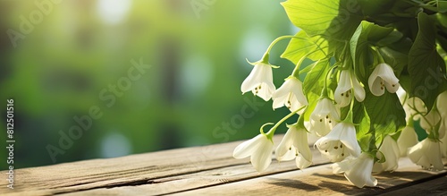 On a light wooden surface there is a copy space image showcasing fresh broadleaf bell flowers photo