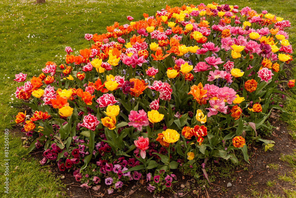 There are many flowers on the Langenargen embankment There are many flowers on the Langenargen embankment