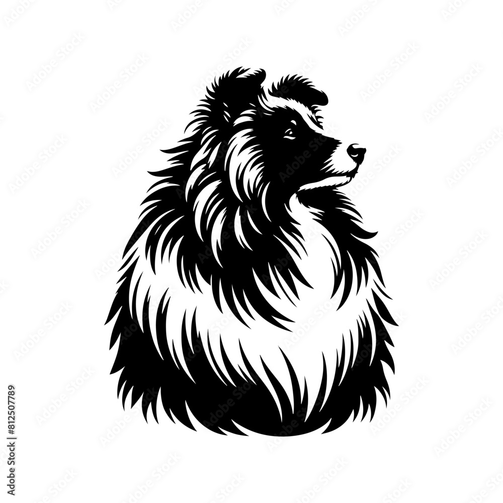 Obraz premium Shetland Sheepdog Vector Silhouette - Capturing the Elegance and Agility of this Beloved Canine Companion Breed- Shetland Sheepdog Illustration.