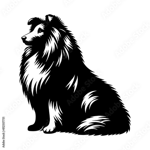 Fotografie Shetland Sheepdog Vector Silhouette - Capturing the Elegance and Agility of this Beloved Canine Companion Breed- Shetland Sheepdog Illustration