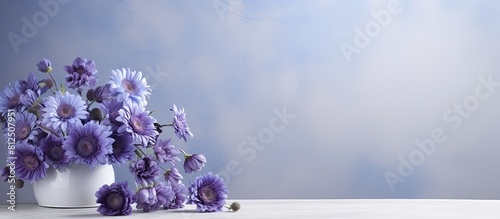 A stunning display of vibrant cineraria flowers against a neutral grey backdrop inviting viewers to easily incorporate their own message within the image. Creative banner. Copyspace image photo