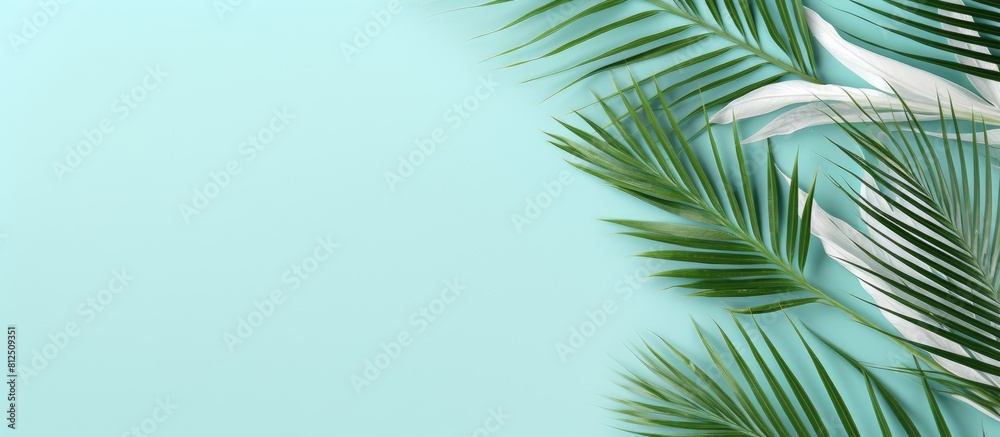 Top view of a summer themed flat lay with white palm leaves on a refreshing mint background The composition evokes the essence of summer offering a copy space image