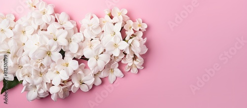 A top view of a beautiful bouquet of delicate white flowers resting on a pink background with plenty of space for text or other elements. Creative banner. Copyspace image
