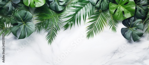 Marble background with tropical leaves arranged in a flat lay composition leaving a blank area for text. Creative banner. Copyspace image