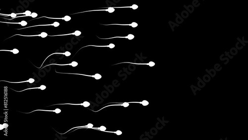 Active Sperm Cells Swim to the Egg on Black Background, Competition Concept