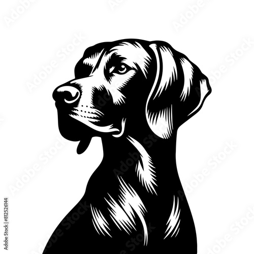 VIZSLA Dog Vector Silhouette - Elegant Strength and Energy of this Athletic Canine Companion Breed - VIZSLA Dog Illustration- Minimalist VIZSLA Dog Vector.
