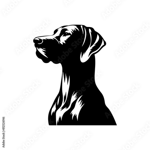 VIZSLA Dog Vector Silhouette - Elegant Strength and Energy of this Athletic Canine Companion Breed - VIZSLA Dog Illustration- Minimalist VIZSLA Dog Vector.
