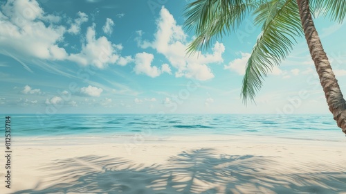 A beautiful beach with a palm tree in the foreground. The sky is blue and the water is calm