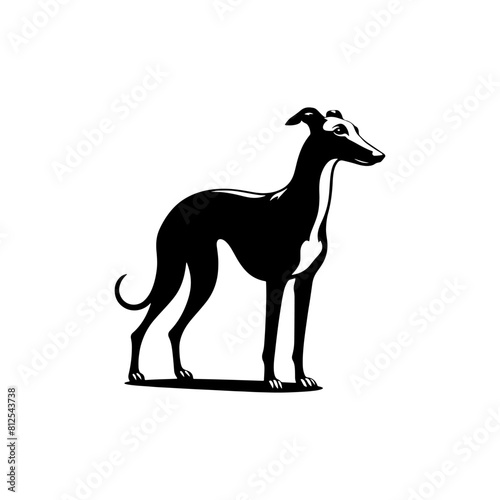 Whippet Dog Vector Silhouette - Minimalist whippet Dog Illustration.
