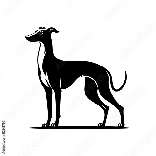 Whippet Dog Vector Silhouette - Minimalist whippet Dog Illustration.