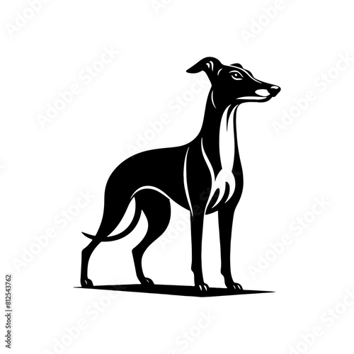 Whippet Dog Vector Silhouette - Minimalist whippet Dog Illustration.