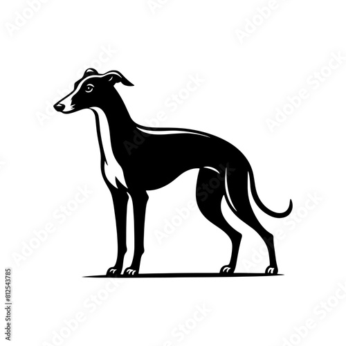 Whippet Dog Vector Silhouette - Minimalist whippet Dog Illustration.