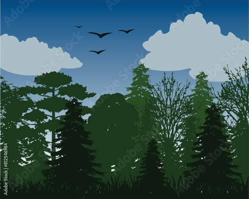 Fairy-tale landscape thick wood on background sky