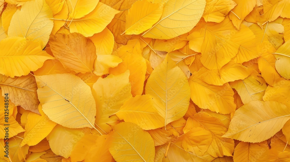 Autumn Mosaic: Capturing the Intricate Texture of Yellow Foliage in a Close-Up View of Fallen Leaves