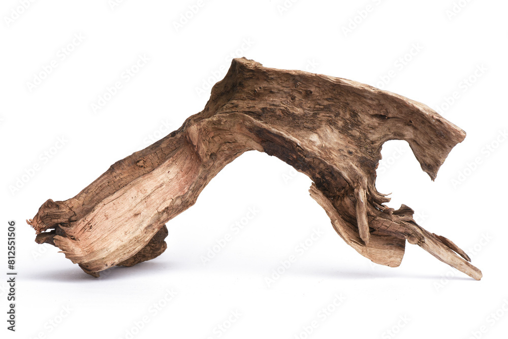 Dried wooden tree branch snag isolated on the white background. Dried wooden tree branch snag isolated on the white background.