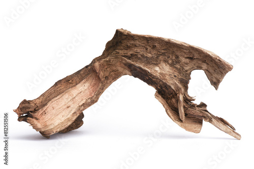 Dried wooden tree branch snag isolated on the white background.