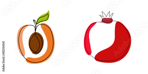 Pomegranate and apricot fruit icons in a linear style. For label design, website, mobile app, social media. Vector illustration 