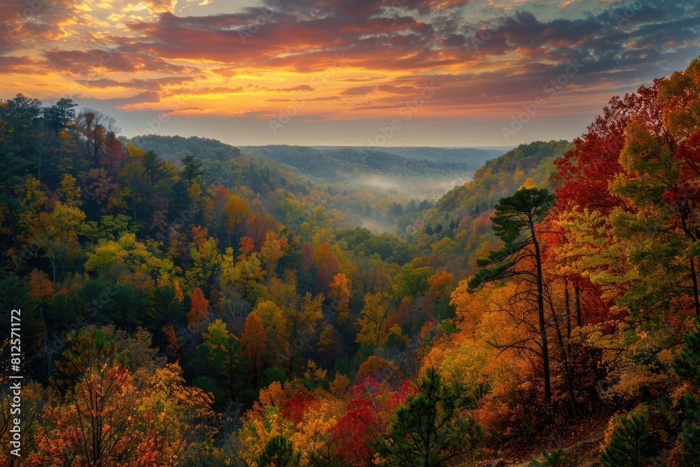 Vibrant Autumn in Southern Indiana's Hills - A Stunning View of the Forest, Trees and Hollows