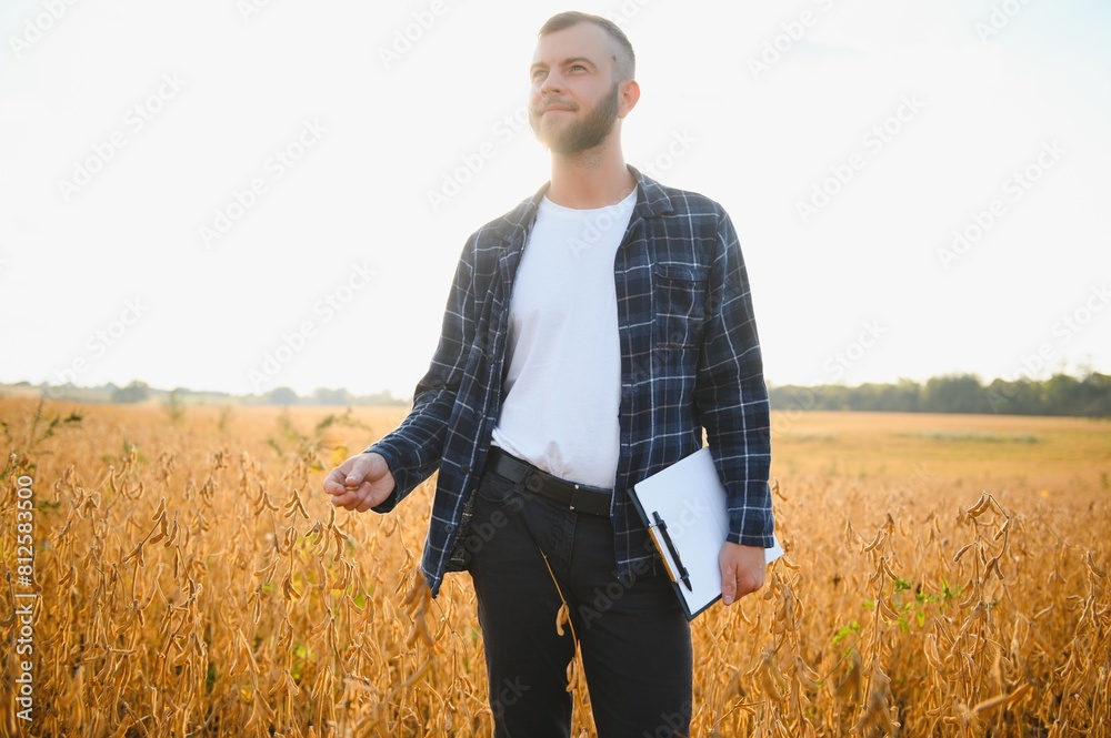 A young handsome farmer or agronomist examines the ripening of soybeans in the field before harvesting A young handsome farmer or agronomist examines the ripening of soybeans in the field before harvesting
