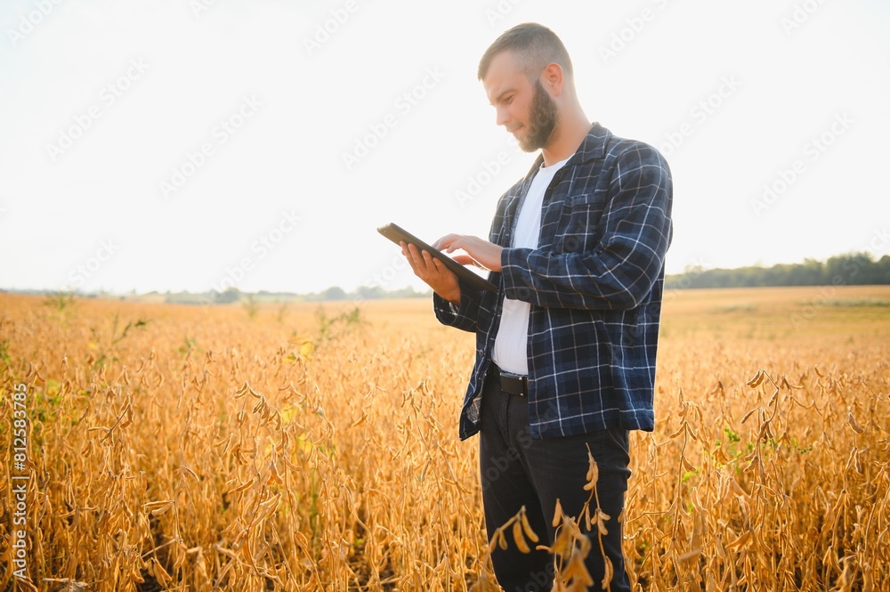 A young handsome farmer or agronomist examines the ripening of soybeans in the field before harvesting A young handsome farmer or agronomist examines the ripening of soybeans in the field before harvesting