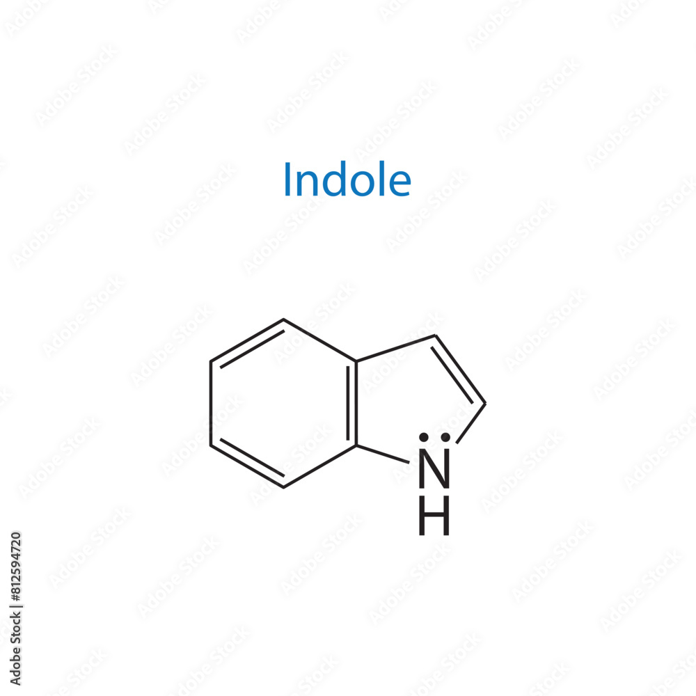 Indole molecule skeletal structure diagram.organic compound molecule scientific illustration on white background. Indole molecule skeletal structure diagram.organic compound molecule scientific illustration on white background.