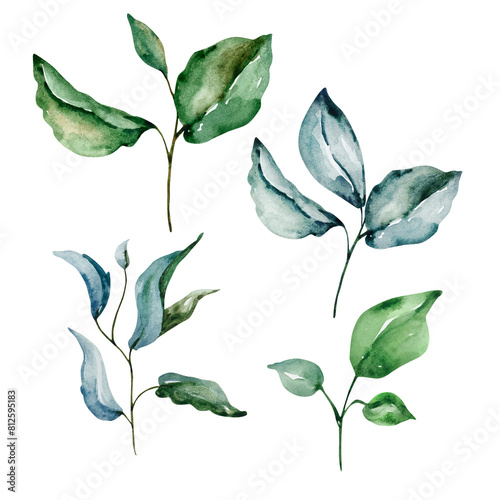 Green leaves watercolor set, floral illustration