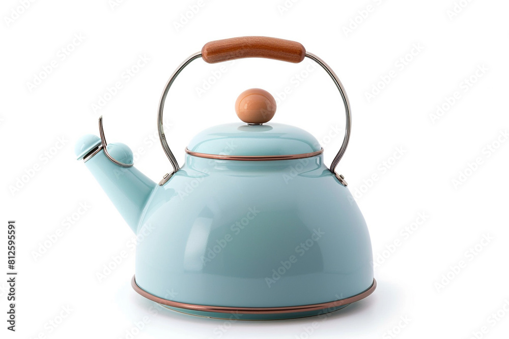 A vintage-inspired electric kettle with a pastel blue enamel finish and a whistle spout isolated on a solid white background.