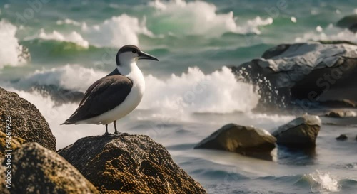 Solitary seabird on a rock by the sea - Generative Ai
 photo