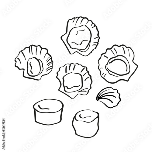 Escallop sea mollusc clam hand drawn ink sketch on isolated background. Set with seafood, open and fresh scallop, marine animals, shellfish. Design elements for menu, logo, label, print, card, paper