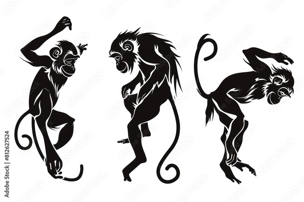 Obraz premium Three black and white monkeys standing upright. Can be used for educational purposes