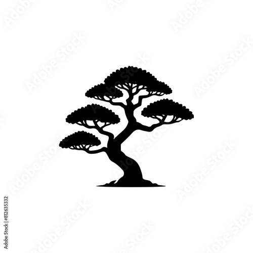 Bonsai tree silhouette