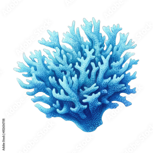 an isolated blue coral watercolor