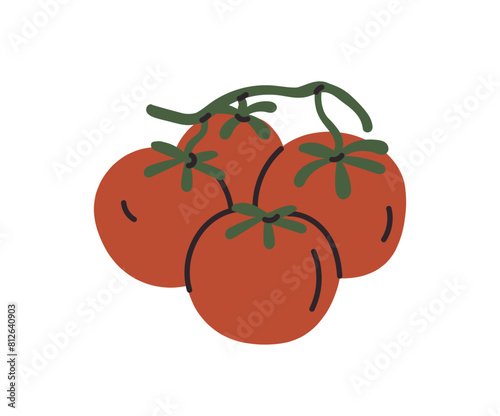 Branch of juicy ripe tomatoes, ripe bunch of tomato, vegetarian organic food, fresh whole tomato vegetables, healthy nutrition food, natural source of vitamins isolated flat vector illustration.