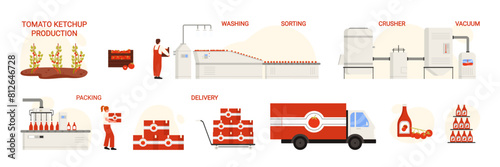 Tomato ketchup production, infographic chart of manufacturing process stages set. Vegetables harvesting and sorting, chopping in crusher to paste, packaging for delivery cartoon vector illustration