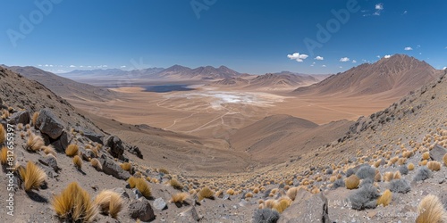 Fotografie A vast desert landscape with towering mountains in the background