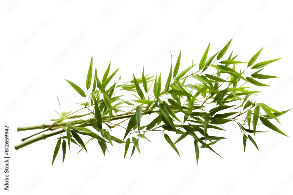 A bunch of bamboo leaves are arranged in a line. The leaves are green and appear to be fresh. The image has a calming and peaceful mood, as bamboo is often associated with tranquility and relaxation A bunch of bamboo leaves are arranged in a line. The leaves are green and appear to be fresh. The image has a calming and peaceful mood, as bamboo is often associated with tranquility and relaxation