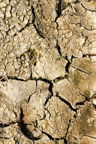 cracked land