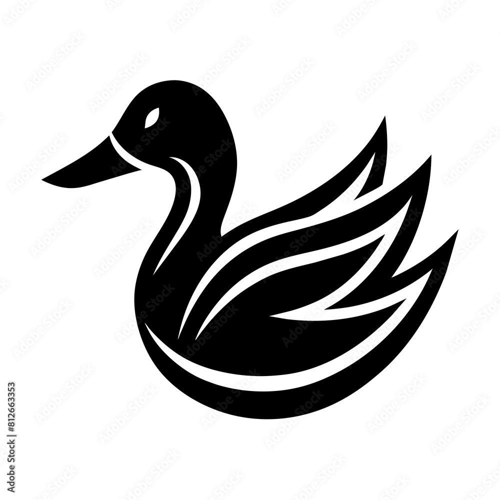 Fototapeta premium duck isolated on white