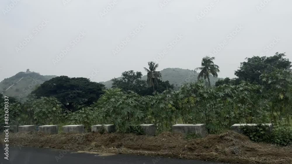 Wide view of mountains surrounded by different plants and trees Wide view of mountains surrounded by different plants and trees
