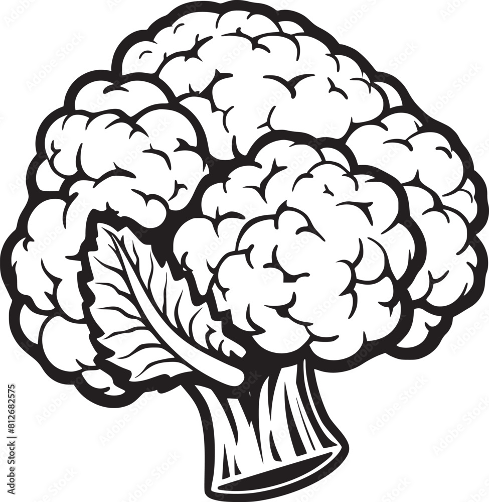 Fototapeta premium Broccoli simple thin line icon vector illustration