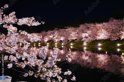 Illuminated Pink Sakura or Cherry Blossom Tunnel and Wooden Boat on Moat of Hirosaki Castle at Night in Aomori, Japan - 日本 青森 弘前城 西濠 桜のトンネル ボート 夜景 ライトアップ	 photo